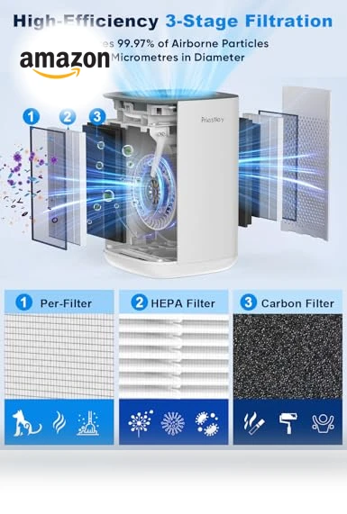 Small Air Purifier with Essential Oil Diffuser — Activated Carbon Air Purifiers, Priestley