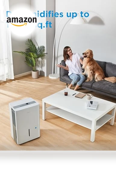 Energy Star Certified Dehumidifier — Air Moisture Control, Midea