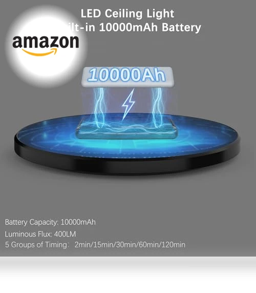 LED Ceiling Light with Motion Sensor — Overhead Lighting