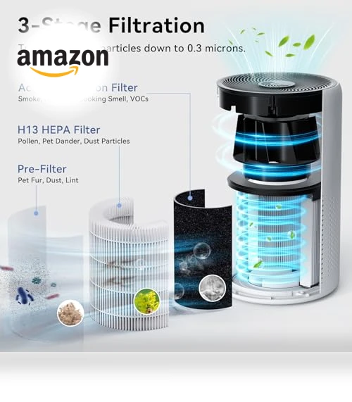 HEPA Air Purifier for Large Rooms — Activated Carbon Air Purifiers, Tailulu