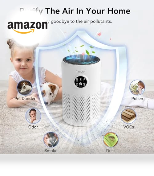 HEPA Air Purifier for Large Rooms — Activated Carbon Air Purifiers, Tailulu