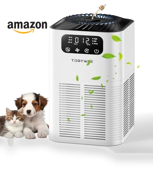 Large Room Air Purifier with H13 True HEPA Filter — Activated Carbon Air Purifiers, TDBYWAE