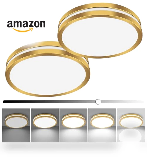 Flush Mount LED Ceiling Light — Overhead Lighting, Hlite