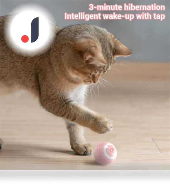 Smart Pet Toys — Balls, Two Shy Girl