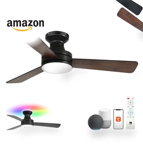 Smart Ceiling Fan with Lights — Ceiling Fan Wall Controls, Orison