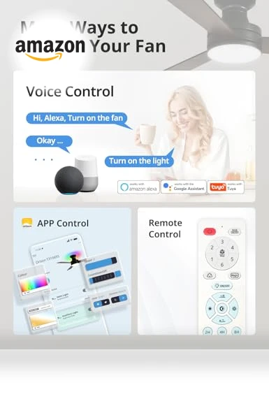 Smart Ceiling Fan with Lights — Ceiling Fan Wall Controls, Orison
