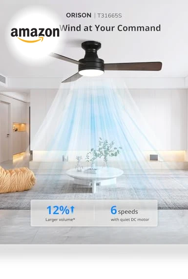 Smart Ceiling Fan with Lights — Ceiling Fan Wall Controls, Orison