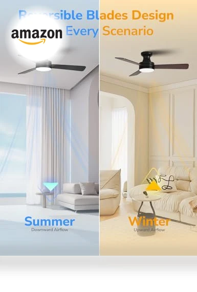 Smart Ceiling Fan with Lights — Ceiling Fan Wall Controls, Orison