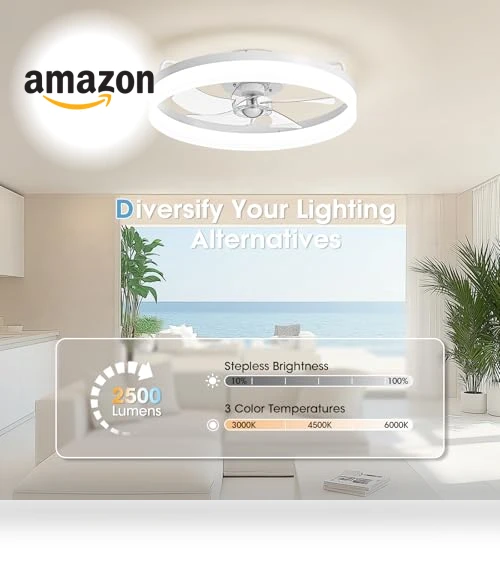 Smart Ceiling Fan with Lights — Ceiling Fan Wall Controls, LUDOMIDE