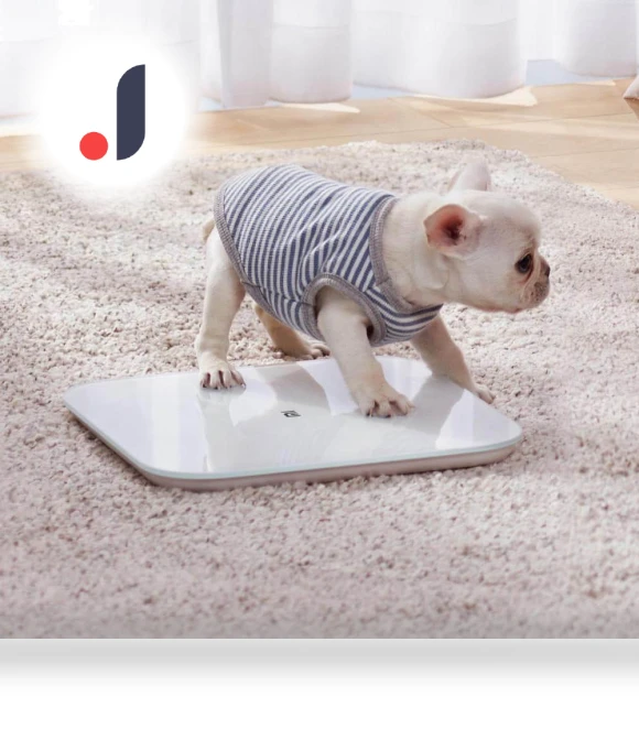 Smart Scale 2 — Weight Management Tools, Mijia