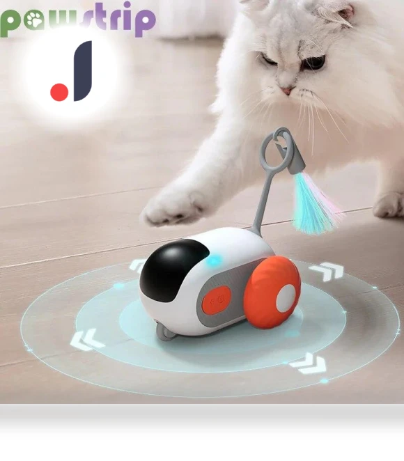 Smart Interactive Cat Toy — Interactive Animal Companions, Pawstrip