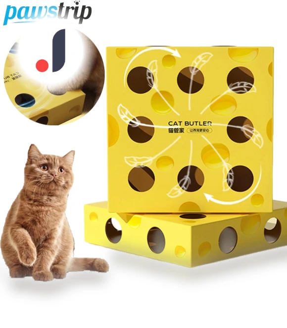 Interactive Cat Toy — Cat Playthings, Pawstrip