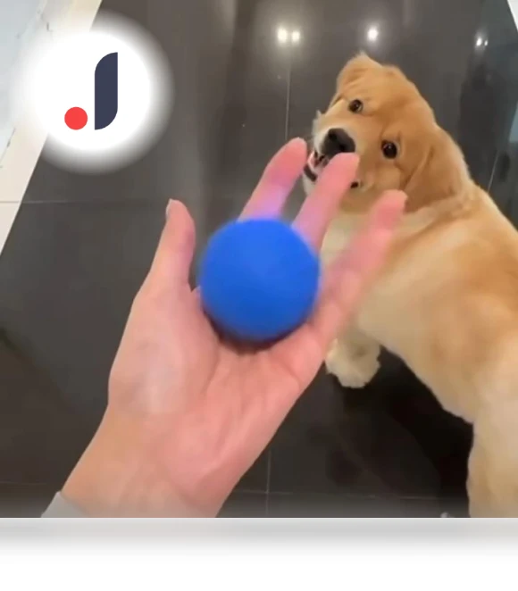 Smart Rolling Ball Toy for Pets — Interactive Animal Companions, Vinde Home