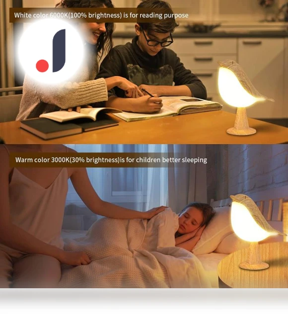 LED Touch Night Light — Night Lights, AE Selection