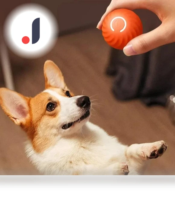 Automatic Moving Jumping Rolling Smart Ball Toy — Balls, Home Furnishing Department Mall