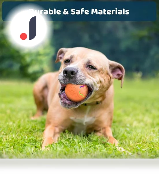 Interactive Pet Ball — Automatic Launchers, Love Pet House