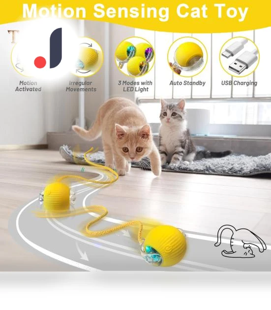 Interactive Rolling Ball Toy for Cats — Cat Playthings, Talos home Garden