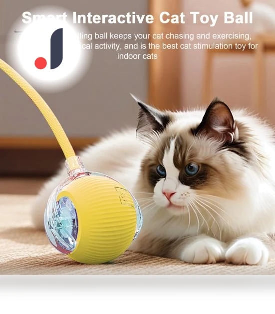 Interactive Rolling Ball Toy for Cats — Cat Playthings, Pet park