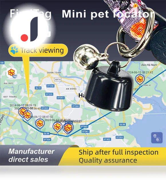 Smart GPS Tracker — Location Tracking Devices, Autumn Orchids