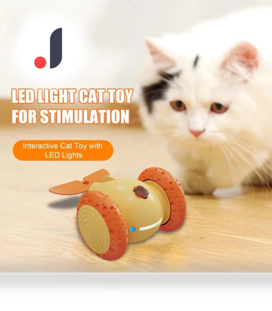Interactive Cat Toy — Cat Playthings, Love Pet House