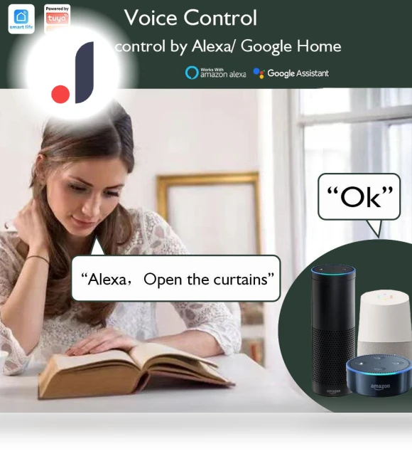 Smart Electric Curtain Motor — Smart Home Hubs & Controllers, Home Textile Home Decoration