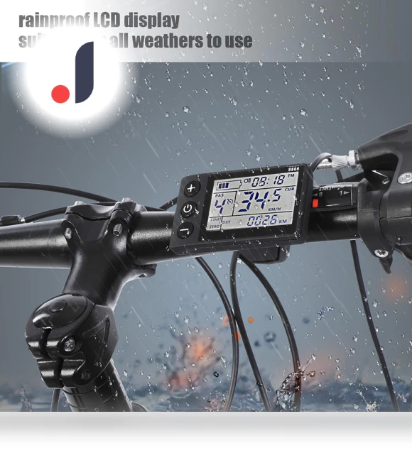Waterproof LCD Display with Control Panel for Electric Scooter — Display Modules, Super Dream Home