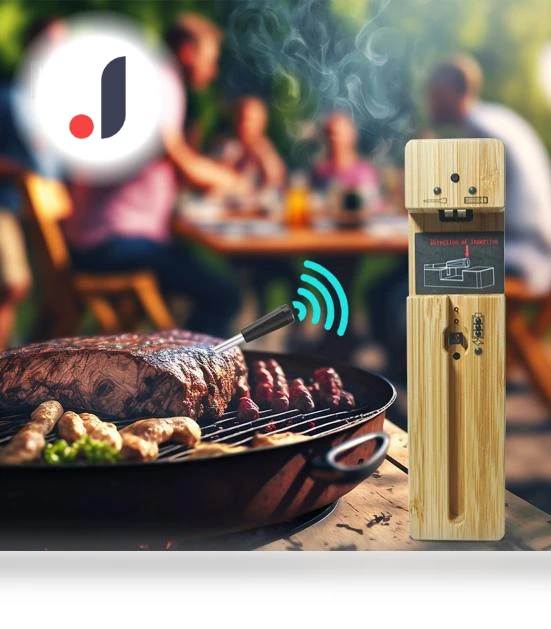 Wireless Meat Thermometer with Bluetooth — Thermometers, DYS Kitchen