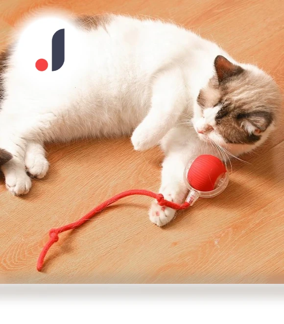 Interactive Cat Toy Ball — Cat Playthings, Shanylty