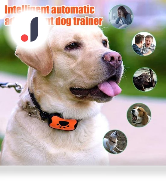 Smart Dog Training Collar with Bark Control — Anti-Bark Training Devices, Love Pet House
