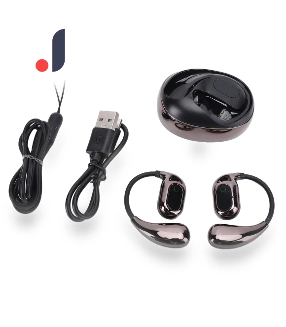 Bluetooth Translator Earbuds — Language Translators, DIYelecs
