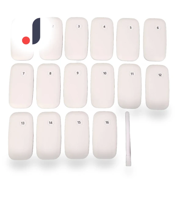 Wireless Paging System — Pagers, DIYelecs