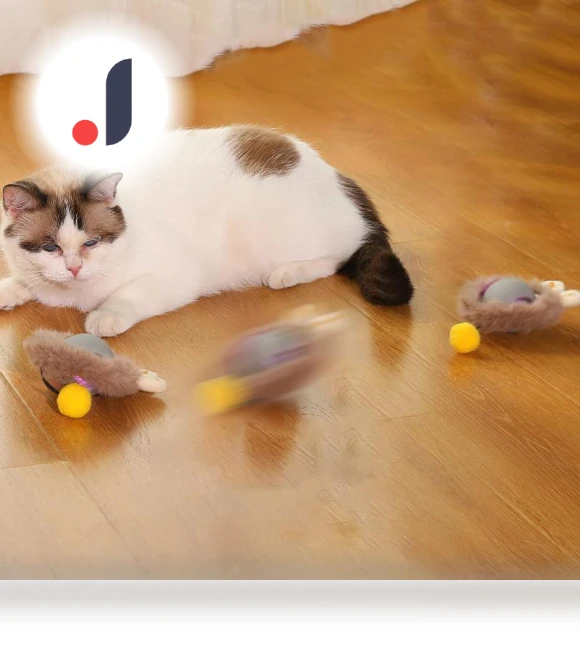 Interactive Cat Toy — Cat Playthings, Family Circle