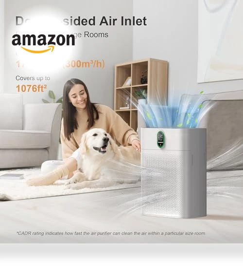 Air Purifier for Large Rooms — HEPA Air Purifiers, EZBASICS