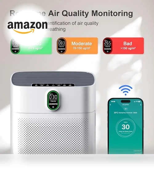 Air Purifier for Large Rooms — HEPA Air Purifiers, EZBASICS