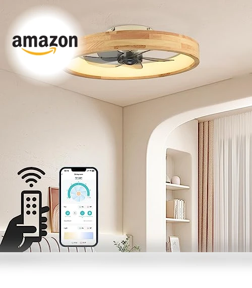 Ceiling Fan with Light — Ceiling Fan Lighting Solutions, WenineStar
