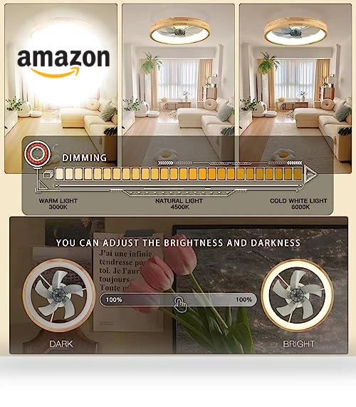 Ceiling Fan with Light — Ceiling Fan Lighting Solutions, WenineStar