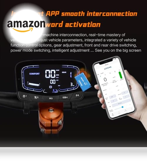 Dual Drive Electric Scooter — Electric Vehicles, TUORUIBOKE