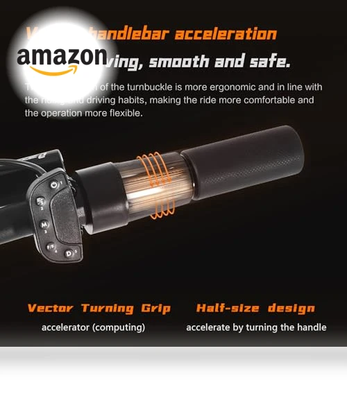 Dual Drive Electric Scooter — Electric Vehicles, TUORUIBOKE