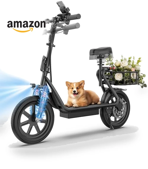 Electric Scooter with Seat — Electric Self-Balancing Scooters, WERHY