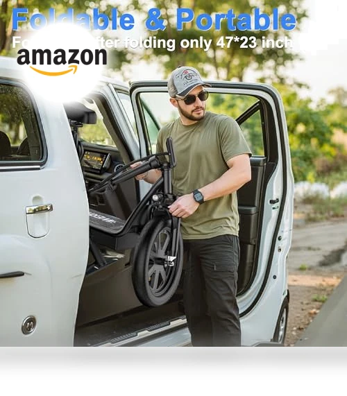 Electric Scooter with Seat — Electric Self-Balancing Scooters, WERHY