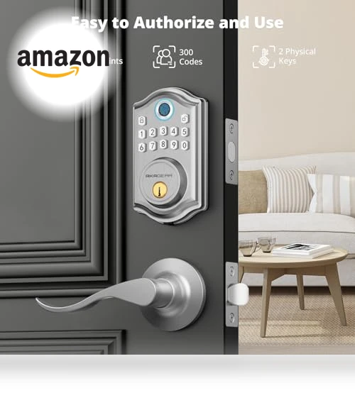 Keyless Entry Door Lock with Handle — Padlocks & Hasps, AkaGear