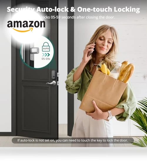 Keyless Entry Door Lock with Handle — Padlocks & Hasps, AkaGear