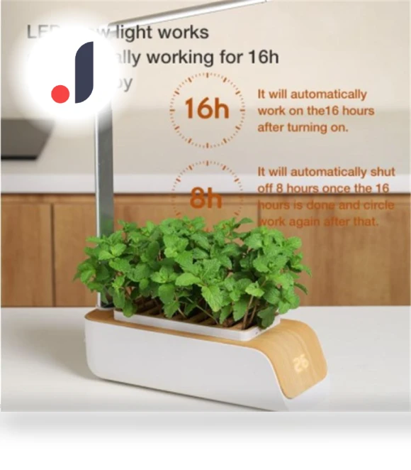 Hydroponic Growing System — Germination Kits, RUI RUI YU 6