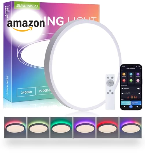 Flush Mount Ceiling Light — Overhead Lighting