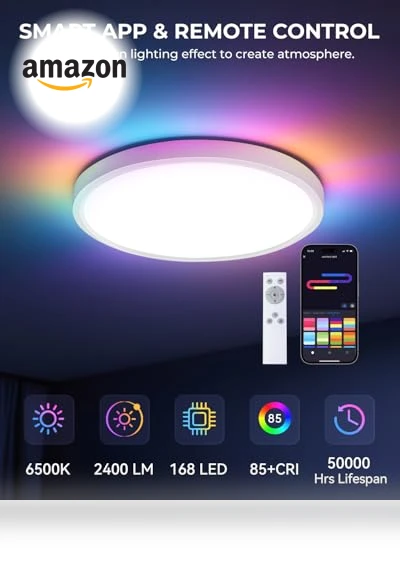Flush Mount Ceiling Light — Overhead Lighting