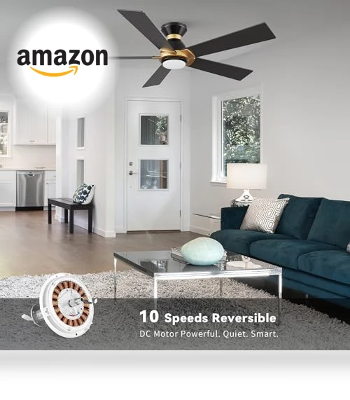 Smart 52" Ceiling Fan with Lights — Ceiling Fan Wall Controls, SMAFAN
