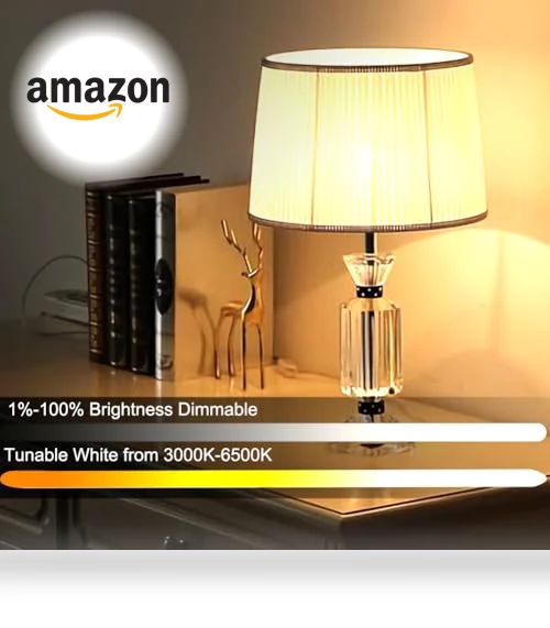 Smart Light Bulb with Remote Control — LED, GRV