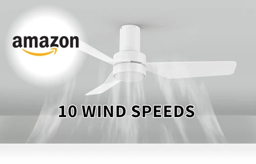 Smart Low Profile Ceiling Fan with Lights — Ceiling Fans, Carro