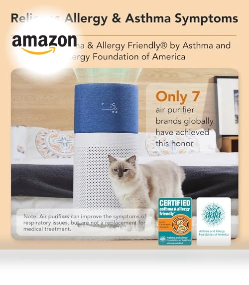 Air Purifier for Large Room — HEPA Air Purifiers, CLEANFORCEAIR