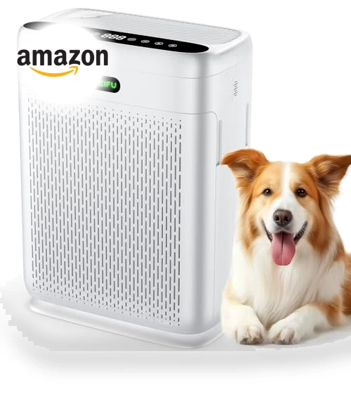 Large Room Air Purifier — Activated Carbon Air Purifiers, AMEIFU